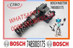 China 313GC5230M 313GC5230MX 7485003175 0986445005 Chinese New Diesel Fuel Injection Unit Pump supplier