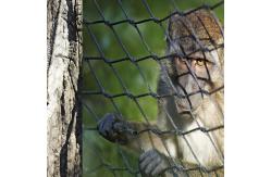 China Smooth Surface Stainless Steel Knotted Woven Mesh for Monkey net supplier