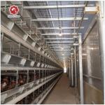 Broilers 4 Tiers Chicken Poultry Cage Automatic Manure Removal System for sale