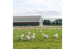 China 6mm Welded Steel Reinforcing Wire Mesh For Concrete Slabs supplier