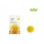 Plastic Air Freshener Scented Starfish with Stick in Car & Home Windows ​ for sale