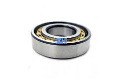 China Reducer Cylindrical Roller Bearings RN203ECM RN204ECM RN205ECM RN206ECM Cylindrical Roller Bearing supplier