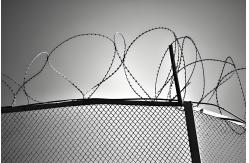 China 8' Fencing Trellis Gates Galvanized 60*60mm Powder Coated Chain Wire Fencing supplier
