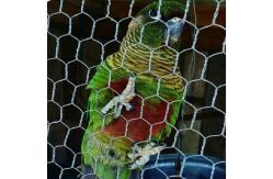 China BWG18-22 Hexagonal Wire Mesh Reverse Twist Rabbit Wire Mesh supplier