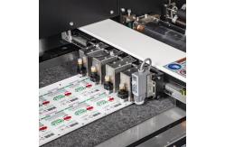 China Semi Rotary Label Die Cutting Vicut VR320 Multi Function Automatic Machine with Slitter supplier