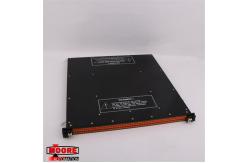 China 2007-2 TRICONEX  Input Module supplier