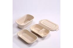 China 850ml Compostable Sugarcane Bagasse Takeaway Eco Friendly Disposable Lunch Boxes supplier