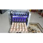 Two Meter Long Conveyor Egg Printing Machine / Egg Stamping Equipment for sale