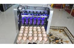 China High Speed Dates Or Logo Egg Printing Machine With Computer Control supplier