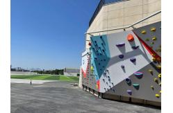 China Professional Indoor Climbing Wall Climbing Holds Custom Moisture Proof supplier