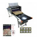 High Efficient Egg Inkjet Marking Machine , Date Printing Machine For Eggs for sale