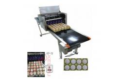 China High Efficient Egg Inkjet Marking Machine , Date Printing Machine For Eggs supplier