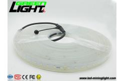 China 12v DC IP68 17W SMD5050 Flexible Led Strip Lights supplier