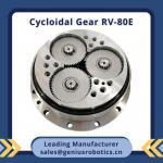 Rigid Wheel RV Gear Reducer Harmonic Gear Reducer For Robots Positioners for sale