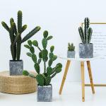 Fashion Cactus And Succulent Fake Plastic Plant For Home Decoration for sale