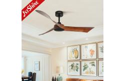 China 6 Speeds Remote Control Plastic Decorative Ceiling Fan Without Light supplier