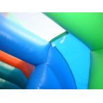 Commercial Grade Inflatable  Pool Slide with Palm Trees