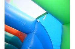 China Commercial Grade Inflatable  Pool Slide with Palm Trees supplier
