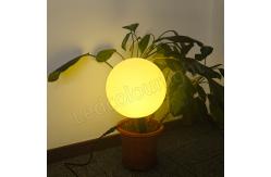 China DC24V Waterproof Lighting DMX RGB LED Sphere Lights For Garden Grass Decoration supplier