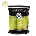 500g Perforated LDPE Vegetable Packing Bags Salad Poly Stand Up Pouches With Holes for sale