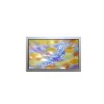 AA121SL08 12.1 inch 800*600 Industrial lcd screen for sale