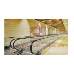 Outdoor 12° Escalators And Moving Walkways Speed 0.5m / S For Supermarket for sale