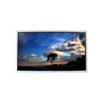 VVF24P185H00 24.0 inch 1300:1 LCD Screen Display Module for sale
