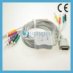 Nihon Kohden EKG 10-lead cable with leadwires for sale