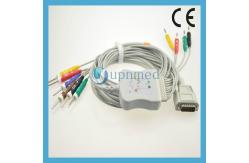 China Nihon Kohden EKG 10-lead cable with leadwires supplier