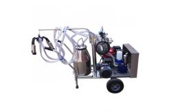 China 50KPa Single Bucket Trolley Milking Machine With Gasoline Engine supplier
