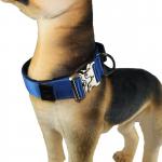 18 16 Inch  Climbing Rope Dog Collar Stylish Identification Tag Custom Pet Collar Suppliers for sale