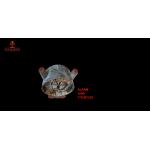 40S Funny Fountain Fireworks Pyro 1.4G UN006 200 Grams With Various Nice Effects for sale