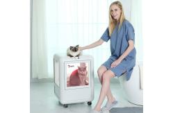 China Smart LED Display Pet Blower With 4 Different Nozzles Cat Dog Water supplier