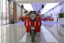 China 800w Passenger Electric Tricycle With Back Seat Foldable Safety Guardrail supplier