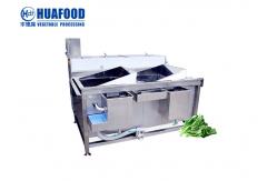 China Double Trough 15-20 Kg/Time Vegetable Washing Machine Multi Function supplier