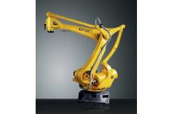 China How Do Chinese Robots ESTUN ER120  Palletizing  Robots Work supplier