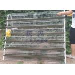 A Type Mesh Layer Quail Bird Cage Of Low Carbon Steel Wire With Sand Cup for sale