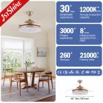 3 Clear Blades Golden modern retractable ceiling fan With LED Light