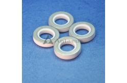 China Alumina Ceramic Gasket Mechanical Strength Alumina Ceramic O Ring for BYD supplier
