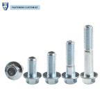 Flanged Hex Head Cap Screw Bolt  Customized for sale