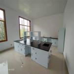 Customizable  Pp  Chemistry Lab Furniture Manufacturers For Hospital & School for sale