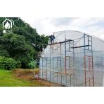 Commercial Tunnel Multi Span Greenhouse High Yield Cultivation Greenhouse for sale