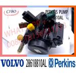Delphy Diesel Fuel Injection Pump 28618810 28618810AL for sale