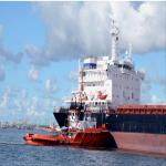 Logistics International Sea Freight Services From China To Singapore for sale