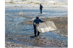 China 10meshx10mesh Alloy Whitebait Mesh For Repairing Whitebait Nets Or Making Screens supplier