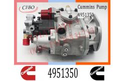 China Cummins Diesel NT855 Engine Fuel Injection Pump 4951350 3074835 3646708 supplier
