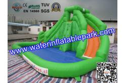 China CE / UI Green Bouncy Inflatable Slide Water Jumper With Swimming Pool supplier