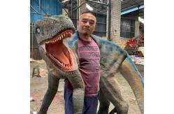 China Playgrounds Dino Hand Puppet Weatherproof Children Age Hand Dinosaur Puppet supplier