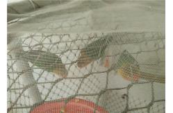 China 7*19 Stainless Steel Aviary Mesh , Aviary Wire Mesh For Aviary Building supplier