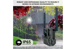 China Custom SMS Control PIR Game And Trail Cameras 0.6s Super Fast Trigger supplier